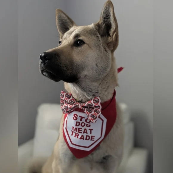 Mystery $5 Unboxing! Let's Save A Dogs life!! - Picture 1 of 1